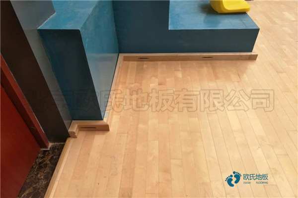 學(xué)?；@球木地板減震技術(shù)1